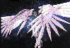 Wing Zero Custom