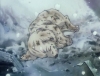 The puppy is dead
