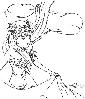 fanart_ Relena2.jpg