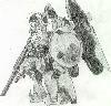 fanart_ tallgeese.jpg
