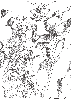 fanart_ wing gundam.gif